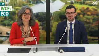 Miniature : Marché de l'immobilier résidentiel en France : quelles perspectives ?