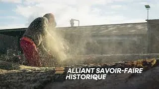 Miniature : Le groupe Ducerf, 5 générations de passion du bois à vos côtés