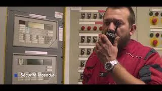 Miniature : Groupe SGS SAGE   Qui sommes nous ?