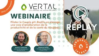 Miniature : Webinaire VERTAL | Piloter le CouplepH-RedOx pour la productivité et la santé des élevages.