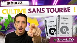 Miniature : 🌱 Biobizz Peat Free : le terreau sans tourbe qui divise les cultivateurs ! 😬🌿
