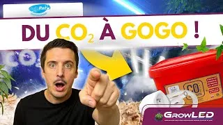Miniature : Découvre une BOX CO₂ ultra simple à installer 😱 | CO₂ GENERATOR dispo chez GrowLED !