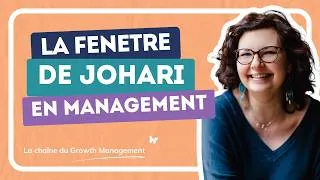 Miniature : Fenêtre de Johari  : pourquoi ton équipe ne te comprend pas ?
