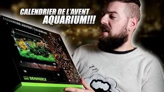 Miniature : J'ouvre un Calendrier de l'avent pour AQUARIUM!