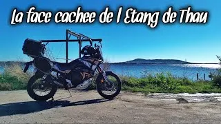Miniature : ON LONGE L'ETANG DE THAU AU PLUS PRÈS... ET C'EST MAGNIFIQUE