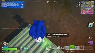 Miniature : Fortnite Sonic Skin