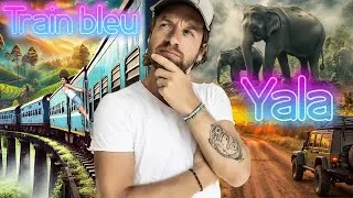 Miniature : S6 SRI LANKA 🇱🇰 :Vlog 6 on fait un #roadtrip dans le parc de YALA et on prend le train bleu à ELLA 😍