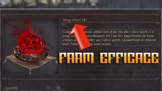 Miniature : Bloodborne : Où Farmer du Sang Rituel 4 Rapidement