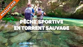 Miniature : Pêche à la mouche en torrent sauvage – Truites d’été entre copains