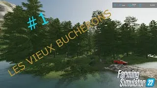 Miniature : NOUVELLE SERIE : LES VIEUX BUCHERONS #1