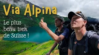 Miniature : VIA ALPINA - Le plus beau trek de Suisse - Ep 1/2