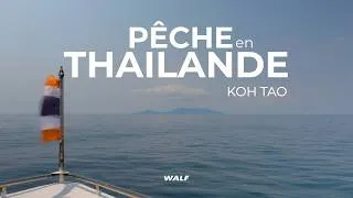 Miniature : PÊCHE autour du MONDE / À la recherche des prédateurs de KOH TAO