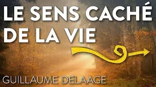 Miniature : LE SENS CACHÉ DE LA VIE
