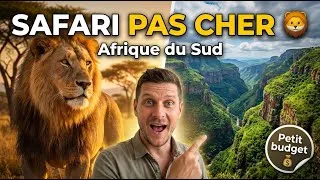 Miniature : Safari en Afrique du Sud avec petit budget 🦁 | Blyde River Canyon & Kruger sans se ruiner