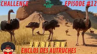 Miniature : Planet Zoo - Challenge FR - EP12 - SAFARIIA'FRIKA - Réintroduction des Autruches d'Afrique !