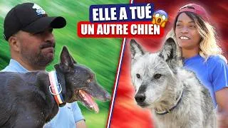 Miniature : Il a tué un chien : peut-on encore le rééduquer ?