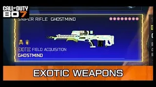 Miniature : COMMENT OBTENIR DES ARMES EXOTIQUE EN END GAME ! ?