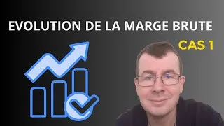 Miniature : évolution de la marge brute sur deux ans -1er cas