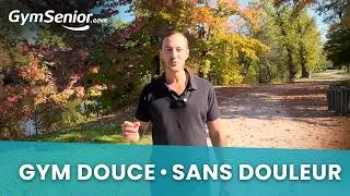 Miniature : Douleurs articulaires après 60 ans ? Découvrez la gym douce qui change tout