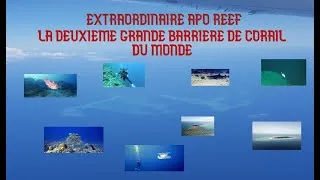 Miniature : LA DEUXIEME GRANDE BARRIERE DE CORAIL AU MONDE / APO REEF/UNE DESTINTION INCROYABLE. H2o2 nature.