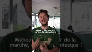 Miniature : Tout comprendre de l’objectif des 2 tonnes en 2 minutes !
