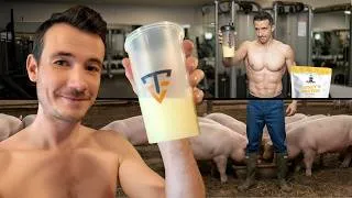 Miniature : Whey : de la nourriture pour cochon dans les salles de musculation 🐽🏋️‍♂️
