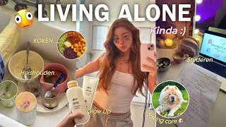Miniature : Kinda Living Alone At 16 👀 | Cooking, Cleaning & Dog Walks