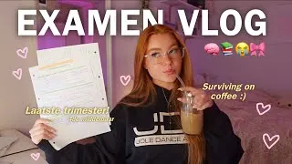 Miniature : Laatste examens van het 4de middelbaar! 🎉📚 | EXAMENVLOG