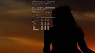 Miniature : Présentation de Daylight Linux Version 4 | Raspberry Pi 4 | Kernel 5