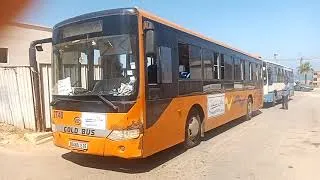 Miniature : حافلات مستغانم 