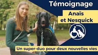 Miniature : Anaïs et Nesquick - un super duo pour deux nouvelles vies 🐕‍🦺