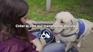 Miniature : HANDI’CHIENS : Ces chiens qui changent des vies 🐕‍🦺💙 | Témoignages & immersion