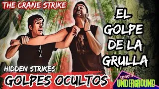 Miniature : BOXEO CHINO - GOLPES OCULTOS para la DEFENSA PERSONAL - Técnica de golpeo del HAPKIDO tradicional.