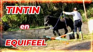 Miniature : TINTIN TESTE L'EQUIFEEL !