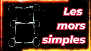 Miniature : [GALOP 4] LES MORS SIMPLES