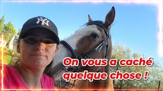 Miniature : ON VOUS A CACHE QUELQUE CHOSE !