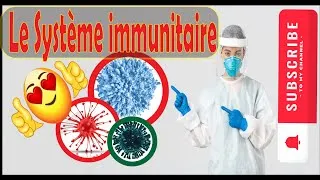 Miniature : Le Système immunitaire