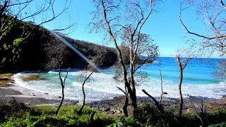 Miniature : Ocean waves sound remote pebble beach: Murramarang National Park NSW | SOUNDS OF AUSTRALIAN NATURE