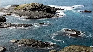 Miniature : Ocean waves sound: Murramarang National Park New South Wales | SOUNDS OF AUSTRALIAN NATURE