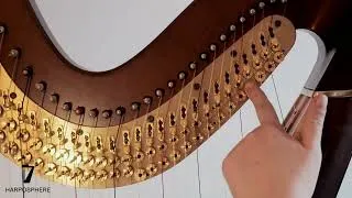 Miniature : Comment changer une corde en nylon sur votre harpe ?