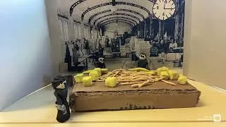 Miniature : Histoire(s) de femmes en mouvement (1/2) - Collège Camille Claudel de Launaguet
