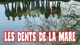 Miniature : LES DENTS DE LA MARE - École de Gerville
