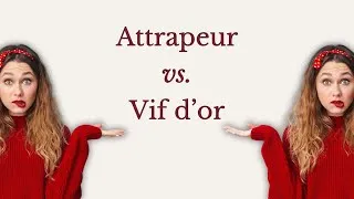Miniature : Attrapeur vs. Vif d’Or : que le match (de Quidditch !) commence !