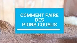 Miniature : Pions cousus