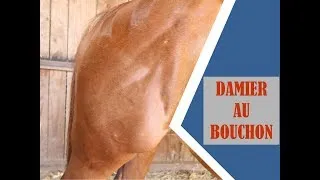 Miniature : Comment faire un damier au bouchon?