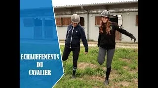 Miniature : Quels échauffements faire avant de monter à cheval