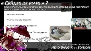 Miniature : "Crâne de piafs" ? Pour enfin réhabiliter les oiseaux - Head Bang - Janvier 2017