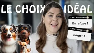 Miniature : Quelle RACE choisir en 1ER CHIEN ? 🐶