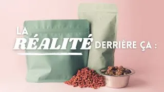 Miniature : Comment on vous VEND des CROQUETTES choisies sur CATALOGUE