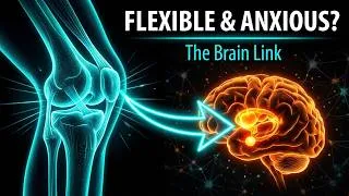 Miniature : Why Hypermobility and Anxiety Are Linked | Neuroscience Explained